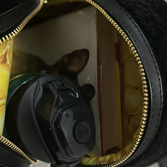 Harry Potter mini Loungefly backpack - Picture 5 of 5